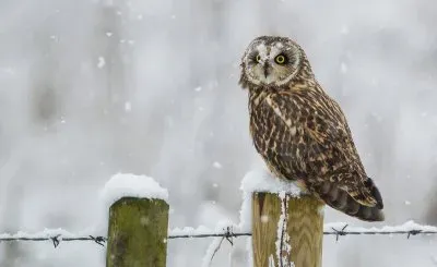 winter