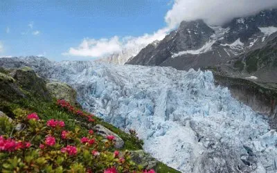 Glacier in the Rocky Mountains