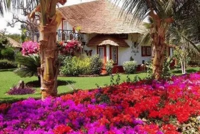 Jardim de casa com coqueiros jigsaw puzzle