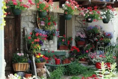 flores