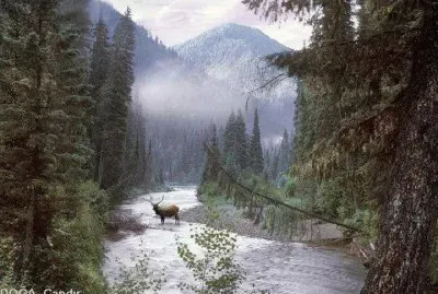 natureza