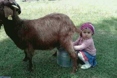 menina jigsaw puzzle