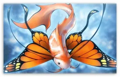 Fish Butterfly art