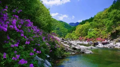 Scenic River