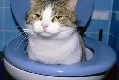 Watergato