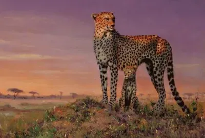chita centinela jigsaw puzzle