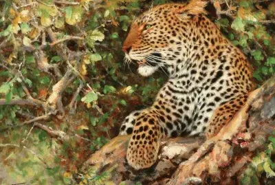 jaguar jigsaw puzzle