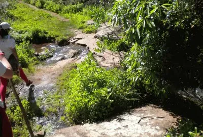CAÃ‘ADA jigsaw puzzle