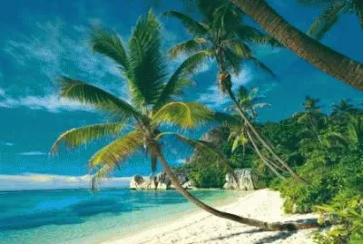 Paradise jigsaw puzzle