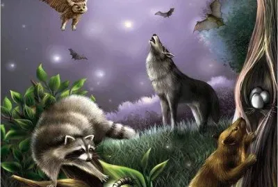 lobo