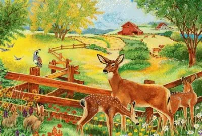 Wild Life
