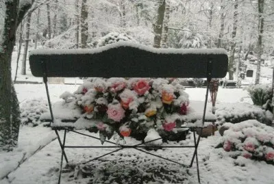 פאזל של winter