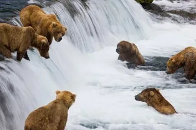 Fish hunting   Canada