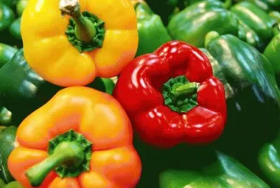 פאזל של Paprika 's