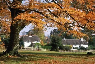 Country House  UK