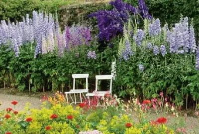 Flower Garden