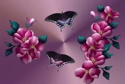 Butterfly and Flowers