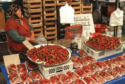 Turgetries Market Turkey