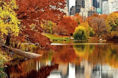 FaraÃ³n jigsaw puzzle