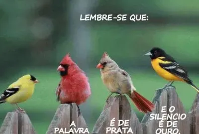 amigos