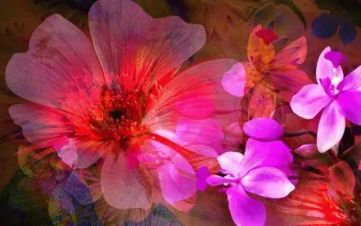 Digital Flowers