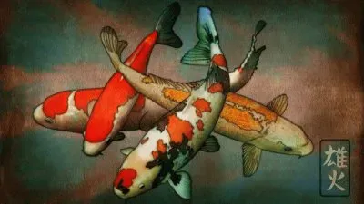 Koi Carps