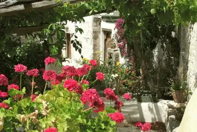 Village house
