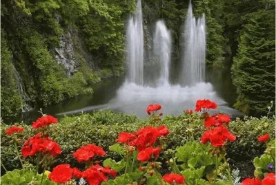 Waterfall and Flowers