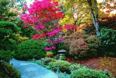 Colourful Garden