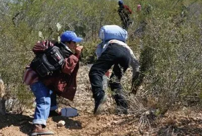 la bestia-migrantes
