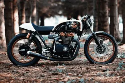 פאזל של FaraÃ³n