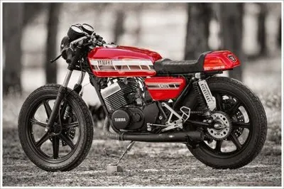 FaraÃ³n jigsaw puzzle