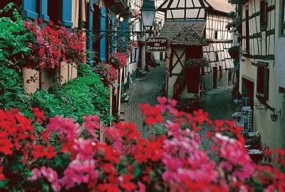 Street in Eguisheim  Alsace  France