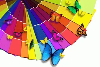 Muli Coloured Butterflies