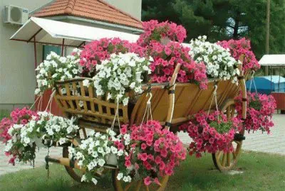 CaÃ§amba com as flores
