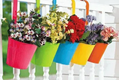 Flores nos Baldes