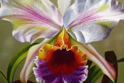 flores jigsaw puzzle