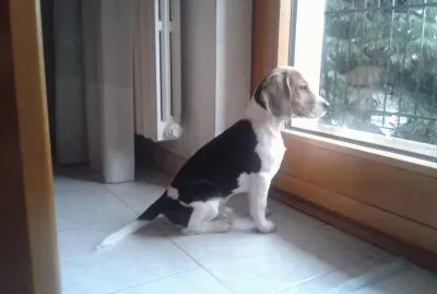 Osservare con attenzione