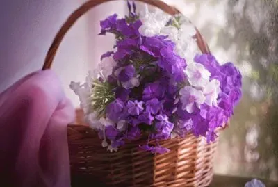 Pretty Little Floral Basket-Still Life
