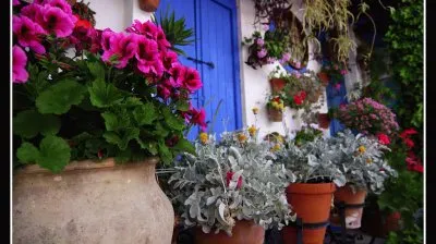 Patio Marroquies  Spain