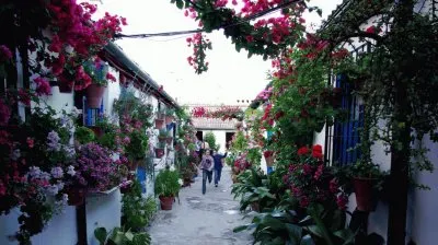 Colourful Street Andalucia  Spain
