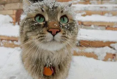 winter