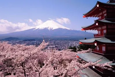 Mt Fuji during Springtime