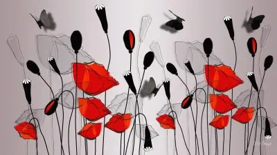 Poppies, shadow and Butterflies