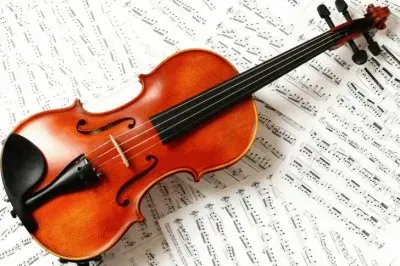 Violin