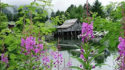 Home on the Water