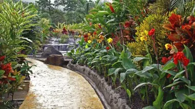 פאזל של Garden View