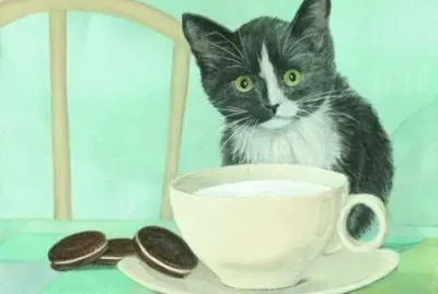 Gatos
