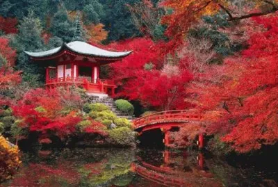 jardin japonais