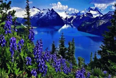 פאזל של paysage de montagne